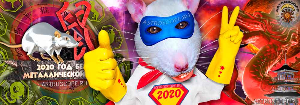 символ 2020 года крысы