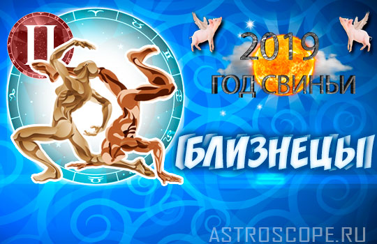 гороскоп на 2019 год Близнецы