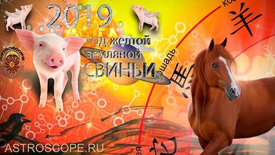 Лошадь гороскоп на 2019 год Свиньи