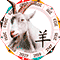 Козы