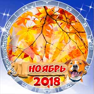 Гороскоп на ноябрь 2018 для всех знаков Зодиака