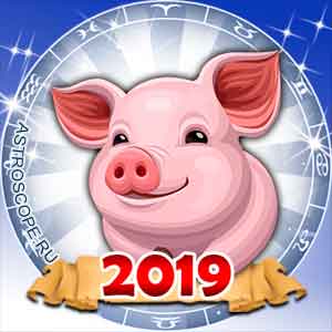 Новое для россиян в конце 2019 - начале 2019 года Новое для россиян в конце 2019 - начале 2019 года