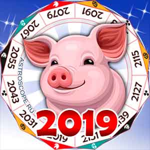 гороскоп на 2019 год Свиньи