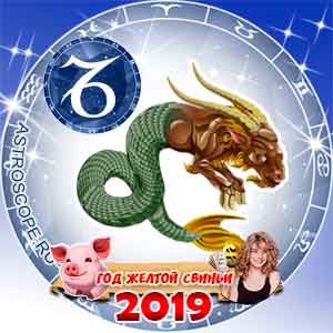 Козерог: финансовый гороскоп на 2019 год
