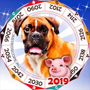 гороскоп для Собаки в 2019 год Свиньи