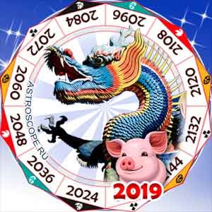 гороскоп для Дракона в 2019 год Свиньи