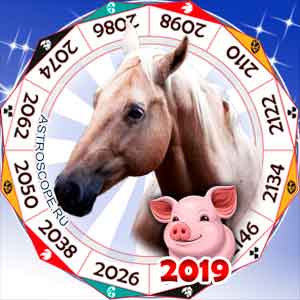 гороскоп для Лошади в 2019 год Свиньи