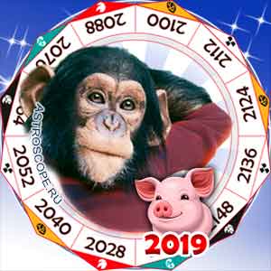 гороскоп для Обезьяны в 2019 год Свиньи