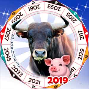 гороскоп для Быка в 2019 год Свиньи