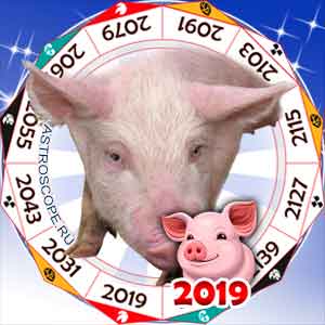 гороскоп для Свиньи в 2019 год Свиньи