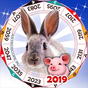 гороскоп для Кролика в 2019 год Свиньи