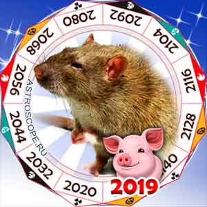 гороскоп для Крысы в 2019 год Свиньи