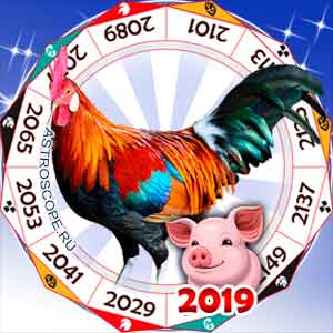 гороскоп для Петуха в 2019 год Свиньи