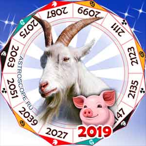 гороскоп для Козы в 2019 год Свиньи