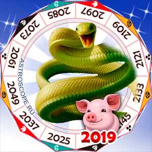 гороскоп для Змеи в 2019 год Свиньи