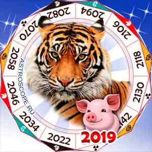 гороскоп для Тигра в 2019 год Свиньи
