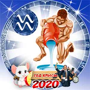Гороскоп на 2020 год Водолей: карьера