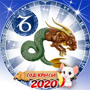 Гороскоп на 2020 год Козерог