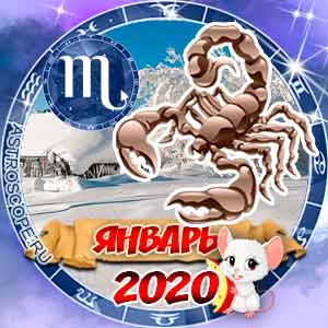 Гороскоп на январь 2020 знака Зодиака Скорпион
