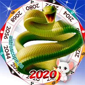 гороскоп для Змеи в 2020 год Крысы