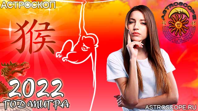 китайская астрология для Обезьяны в 2022 год тигра