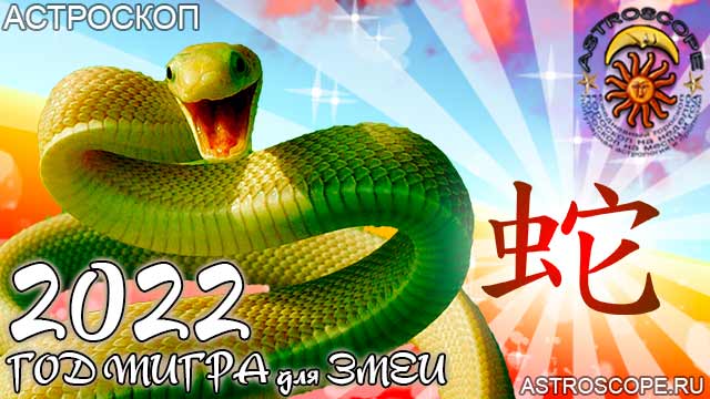 китайский гороскоп на год тигра 2022 для Змеи