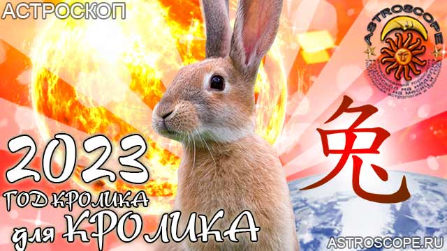 китайский гороскоп на год тигра 2023 для Кролика