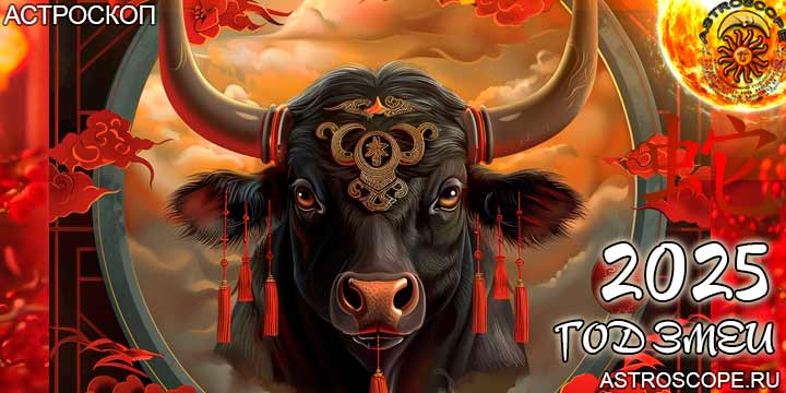 китайский гороскоп на год змеи 2025 для Быка