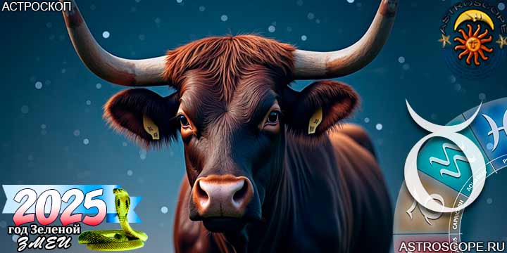 2025 год для Тельца прогноз