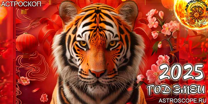 китайский гороскоп на год змеи 2025 для Тигра