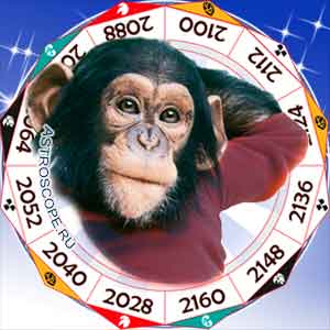 Гороскоп для людей, рожденных в год обезьяны.