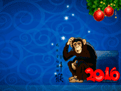 Новогодние обои 2016 с изображением Обезьяны и 2016 года на синем фоне