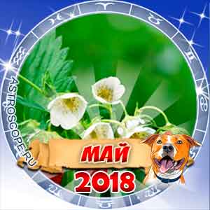 Гороскоп на май 2018 для всех знаков Зодиака