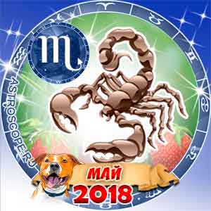 Гороскоп на май 2018 знака Зодиака Скорпион