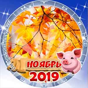 Гороскоп на ноябрь 2019 для всех знаков Зодиака