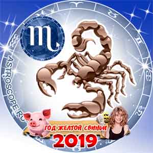 Скорпион: финансовый гороскоп на 2019 год