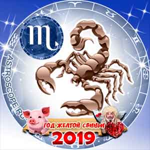 Любовный гороскоп на 2019 год Скорпион
