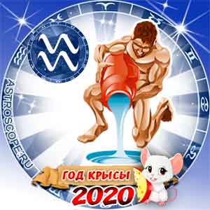 Гороскоп на 2020 год Водолей