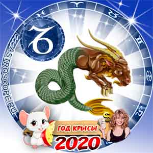 Козерог: финансовый гороскоп на 2020 год