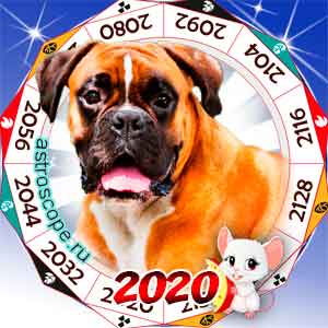 гороскоп для Собаки в 2020 год Крысы