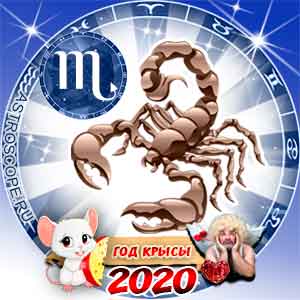 Любовный гороскоп на 2020 год Скорпион