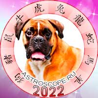 Собака в год тигра 2022