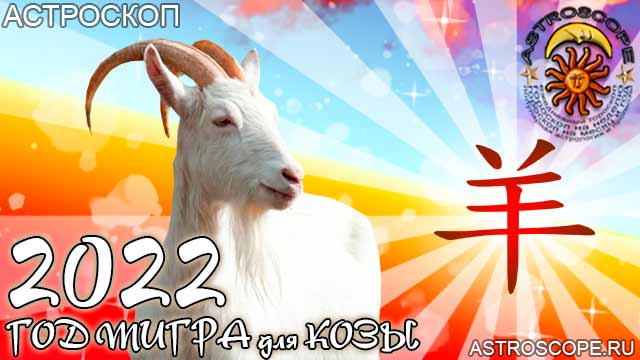 Гороскоп коза на 2024 год. Гороскоп на 2022 год для козы. Коза в год тигра 2022. День козы по китайскому календарю. Козы могут потерять любовь в год тигра.