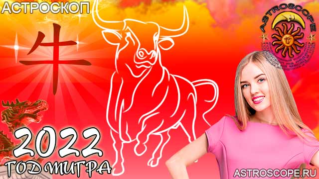 китайская астрология для Быка в 2022 год тигра