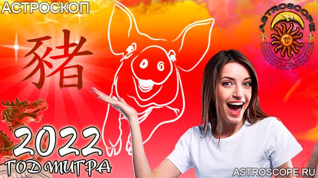 китайская астрология для Свиньи в 2022 год тигра