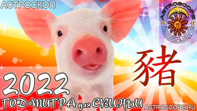 китайский гороскоп на год тигра 2022 для Свиньи