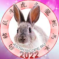 Кролик в год тигра 2022