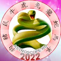 Змея в год тигра 2022
