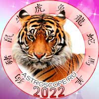 Тигр в год тигра 2022
