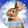 Гороскоп на 2023 год черного Кролика